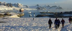 Antarktis och Rosshavet – Expeditionskryssning thumbnail