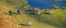 Zimbabwe, Botswana & Victoriafallen thumbnail
