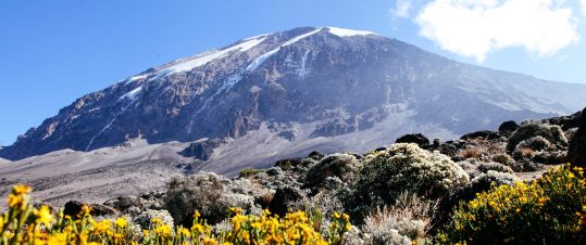 Toppbestigning av Kilimanjaro via Lemosholeden hero image