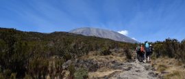 Kilimanjaro thumbnail