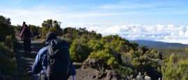 Toppbestigning av Kilimanjaro via Rongaileden thumbnail
