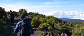 Toppbestigning av Kilimanjaro via Rongaileden thumbnail