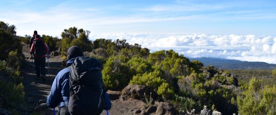 Toppbestigning av Kilimanjaro via Rongaileden hero image
