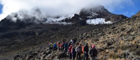 Toppbestigning av Kilimanjaro via Maranguleden thumbnail