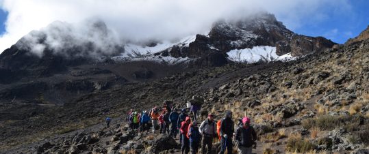 Toppbestigning av Kilimanjaro via Maranguleden hero image