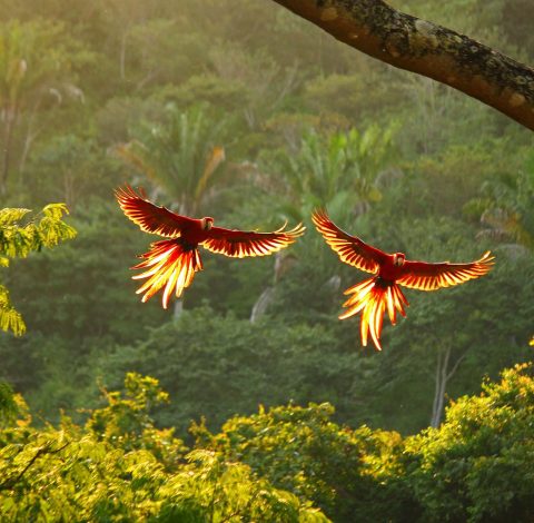 Costa Rica hero background image