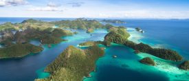 Raja Ampat – Unik naturkryssning i Nya Guineas övärld thumbnail
