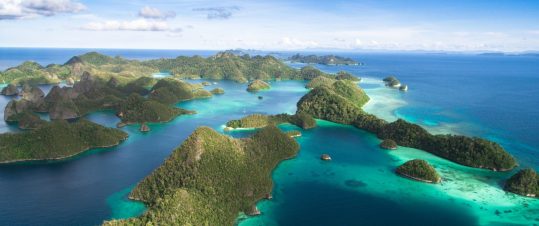 Raja Ampat – Unik naturkryssning i Nya Guineas övärld hero image