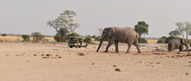 Klassiska Botswana thumbnail