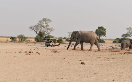 Makgadigadi Pans image