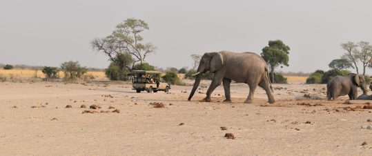 Klassiska Botswana hero image