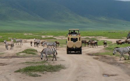 Karatu till Ngorongoro och Serengeti image