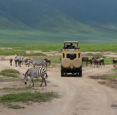 Tanzania hero background image