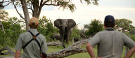 Zimbabwe thumbnail