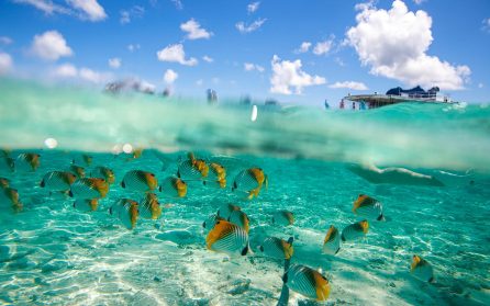 Raiatea image