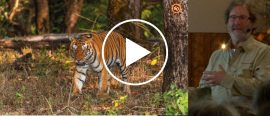 Föredrag om Indien thumbnail