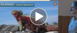 Föredrag om Galapagos thumbnail