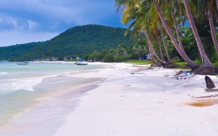 Strandliv på Phu Quoc image