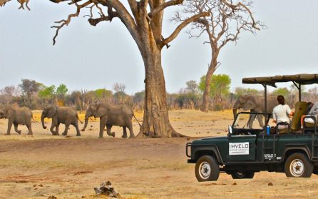 Hwange National Park image