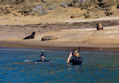 Bad och snorkling